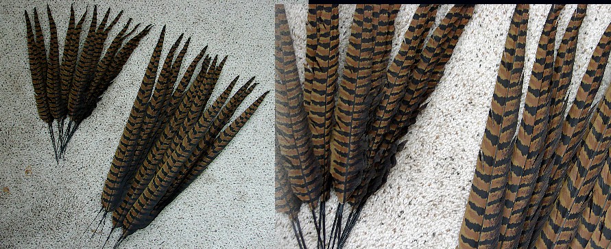 Faux Pheasant Feather Spray Set of 3