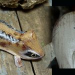 Fish Spearing Decoy Grove Fish Works Wood Carved Hand Crafted - Image 6