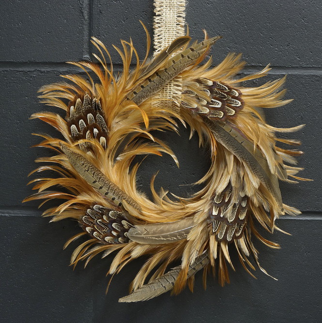 Golden Pheasant Feathers - Real Pheasant Feathers