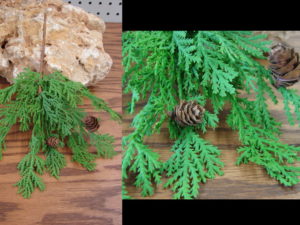 Realistic Juniper Branch Pick with Cones 10"