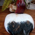 David Koenen Wood Carved Canvas Back Duck Decoy Lifesize - Image 3