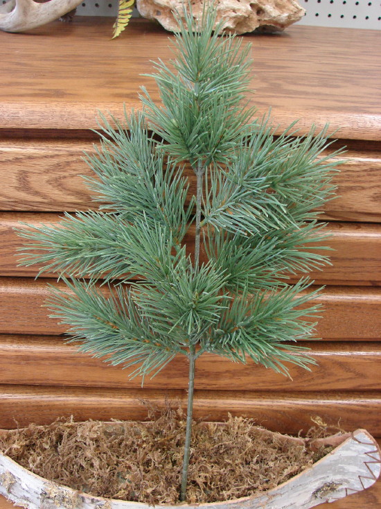Indoor/Outdoor Blue Spruce Pine Pick 20&#8243;, Moose-R-Us.Com Log Cabin Decor