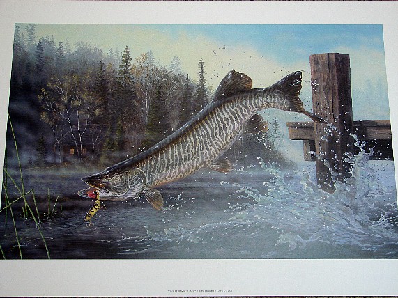 Doughty Set/4 Musky Magic Fishing Prints -  Log