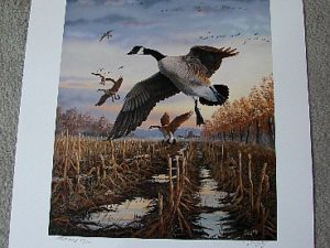 Doughty Evening Descent Canadian Goose Artist Proof Print