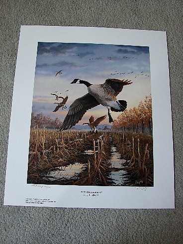 Doughty Evening Descent Canadian Goose Artist Proof Print, Moose-R-Us.Com Log Cabin Decor