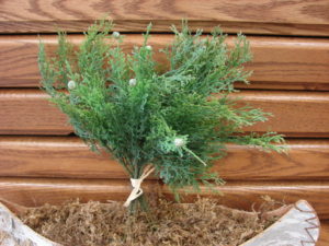 Juniper Pine Bundle with Berries 13"