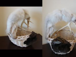 Northwoods Memories Arctic Fox Deer Antler Pheasant Pad Gathering Basket #B1