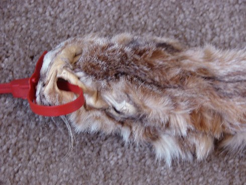 Ojibwe Native American Indian Tanned Lynx Fur Pelt Cased, Moose-R-Us.Com Log Cabin Decor