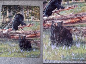 Mack Bear Cubs Playing Pine Forest Print