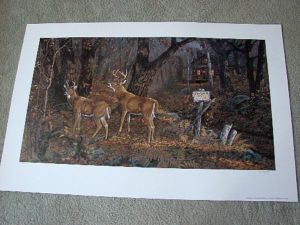 Doughty For Sale Two Bucks - Whitetail Deer Artist Proof Print