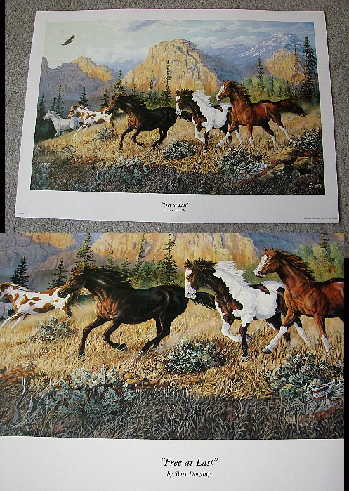 Doughty Free at Last Horses Mountain Print, Moose-R-Us.Com Log Cabin Decor