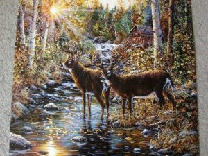Jeff Tift Whitetail Deer Print