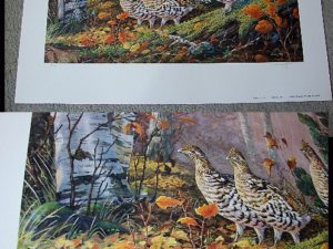 Doughty Ruffed Grouse October Ritual Print