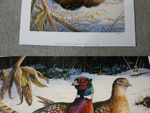 Doughty Ringneck Pheasant Regal Pair SE WI Pheasants Forever Sponsor Print