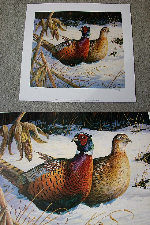 Doughty Ringneck Pheasant Regal Pair SE WI Pheasants Forever Sponsor Print, Moose-R-Us.Com Log Cabin Decor