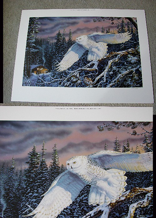 Doughty Whisper on the Wind Snowy Owl Print, Moose-R-Us.Com Log Cabin Decor