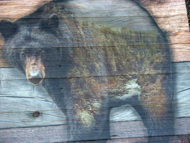 Set/4 Wood Pallet Pictures Scenic Bear, Moose-R-Us.Com Log Cabin Decor