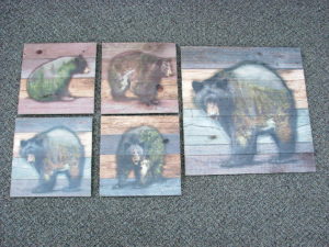 Set/4 Wood Pallet Pictures Scenic Bear