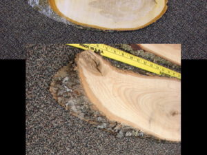 Real Birch Basswood Log Slice Lumber Taxidermy Fish Wood Board with Live Edge Oval