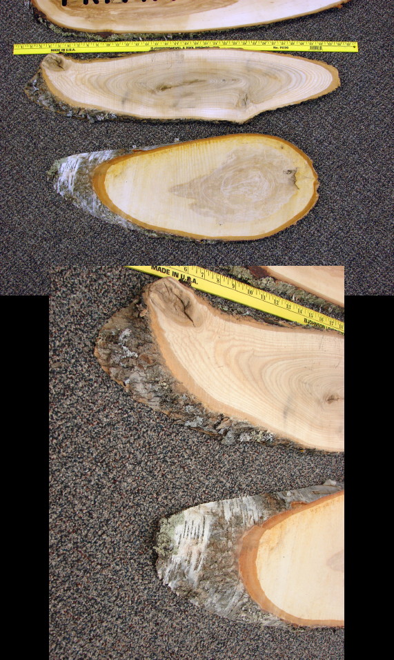 Real Birch Basswood Log Slice Lumber Taxidermy Fish Wood Board with Live Edge Oval, Moose-R-Us.Com Log Cabin Decor