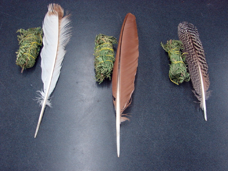 Ojibwe Indian Authentic Prayer Smudge Feather White Cedar Northern Grey Sage, Moose-R-Us.Com Log Cabin Decor