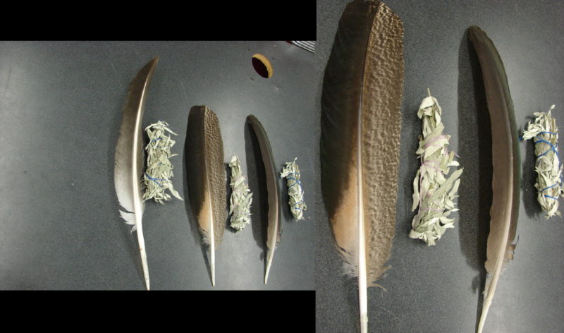 Ojibwe Indian Authentic Prayer Smudge Feather White Cedar Northern Grey Sage, Moose-R-Us.Com Log Cabin Decor