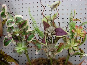 Realistic Succulent Coleus Hens Chick Fern Pick 16"