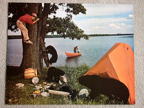 Bear in Camp Oversized Vintage Photo Camping, Moose-R-Us.Com Log Cabin Decor