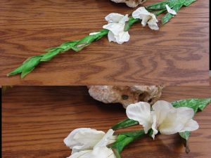 Miniature Gladiolus Pick Creamy White