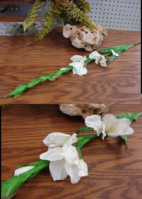 Miniature Gladiolus Pick Creamy White, Moose-R-Us.Com Log Cabin Decor