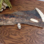 Real Moose Antler Palm Cribbage Board - Image 3
