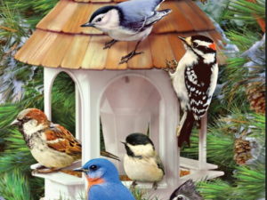Double Sided Decorative Flag Porch Garden Decor Gazebo Birdfeeder Songbirds