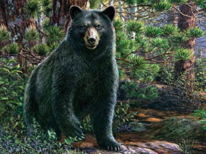 Indoor/Outdoor Rubber Backed Printed Floor Mat Rug Black Bear Pine Forest