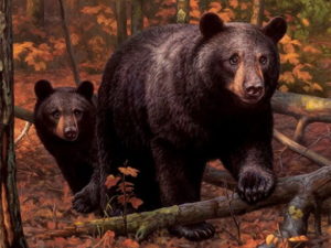 Double Sided Decorative Flag Porch Garden Decor Autumn Black Bear Fall Forest