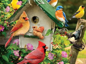 Double Sided Decorative Flag Porch Garden Decor Birdhouse Fence Songbirds