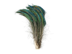 Real Peacock Feather Swords Craft Feather Set/6