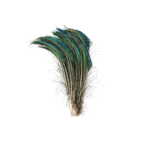 Real Peacock Feather Swords Craft Feather Set/6, Moose-R-Us.Com Log Cabin Decor