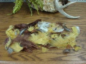 Real Natural Golden Guinea Feathers Craft Feather Loose 8 grams
