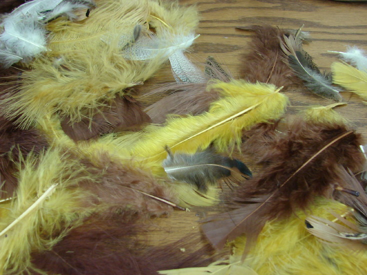 Real Natural Golden Guinea Feathers Craft Feather Loose 8 grams, Moose-R-Us.Com Log Cabin Decor