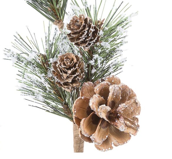 Snow Covered Pinecone Pine Pick Frost Cones -  Log