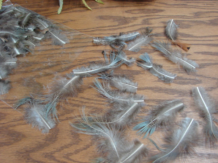 Craft Feathers - Natural Feathers - Loose Real Chicken Feather for