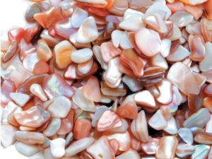 Real Seashell Chips Mosaic DIY Wedding Crafts Vase Filler Bulk Crushed Shells