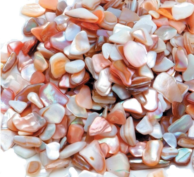 Real Seashell Chips Mosaic DIY Wedding Crafts Vase Filler Bulk Crushed Shells, Moose-R-Us.Com Log Cabin Decor