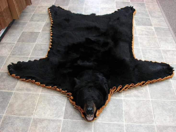 Brand New Real Black Bear Skin Rug, Authentic Bear Skin Rugs