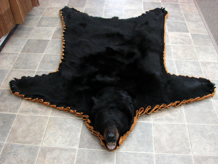 Brand New Real Black Bear Skin Rug Goldenrod Double Felt MooseRUs
