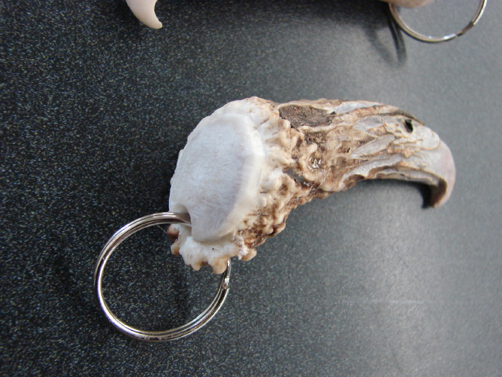 Real Deer Antler Hand Carved Eagle Head Key Chain, Moose-R-Us.Com Log Cabin Decor