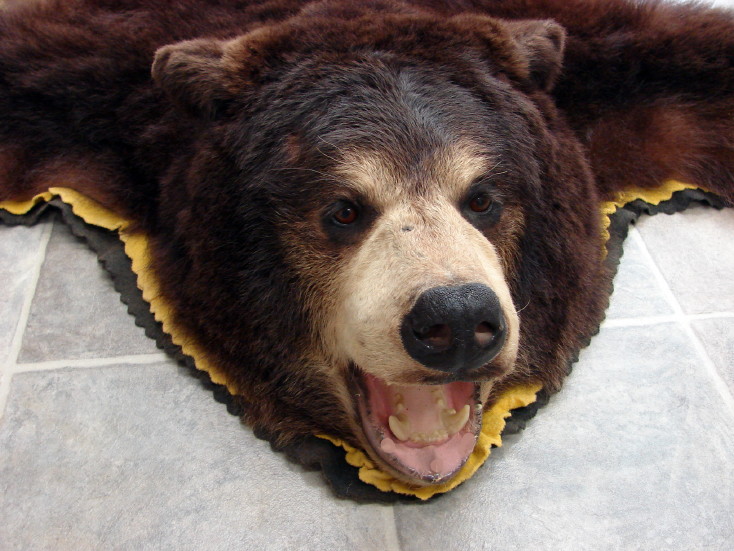 Real Black Bear Rug Taxidermy Hide Pelt, How Much Is A Real Bear Rug