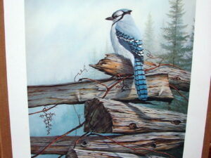 Don Moore Weathered Perch Blue Jay Print Remarque #2/600