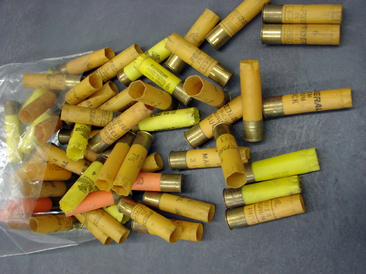 empty shotgun shell bolsa