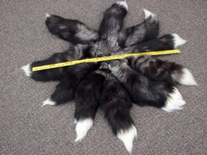 Premium Fox Tail Arctic Indigo Blue Silver American Gray Black Red Genuine Fur Tanned